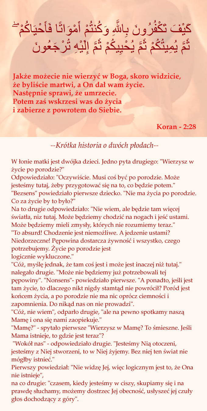 Krótka historia o dwóch płodach