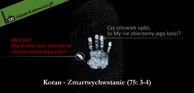 Rozdział Zmartwychwstanie werset 3-4