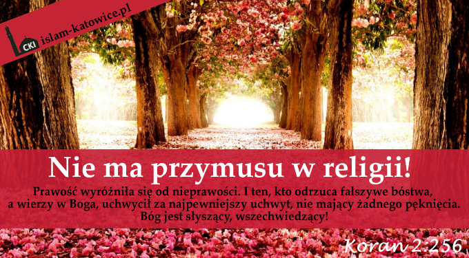 Stereotypy o Islamie: Islam był szerzony mieczem - Cześć 1 z 5
