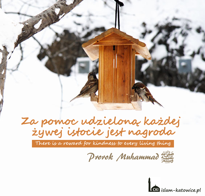Za pomoc udzieloną każdej żywej istocie jest nagroda - Prorok Muhammad (pzn)