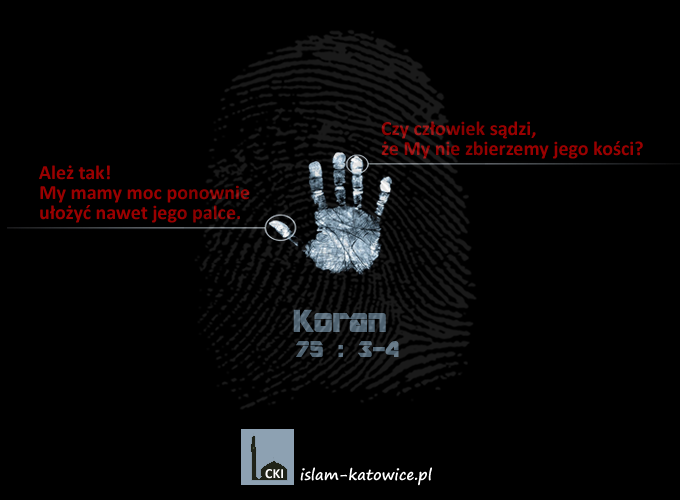 Nie bez powodu każdy ma unikatowe linie papilarne!