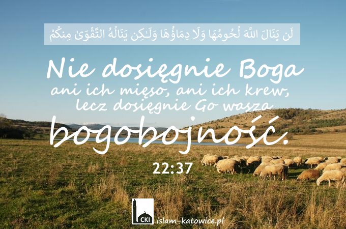 Nie dosięgnie Boga ani ich mięso, ani ich krew, lecz dosięgnie Go wasza bogobojność. (22:37)