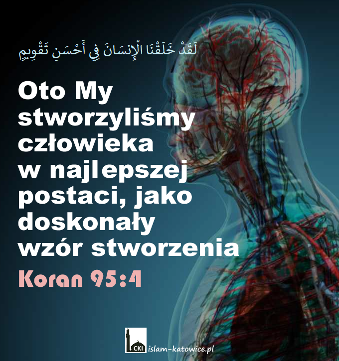 Oto My stworzyliśmy człowieka w najlepszej postaci, jako doskonały wzór stworzenia (95:4)
