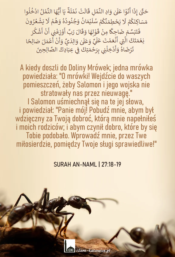 Pozytywizm w Islamie