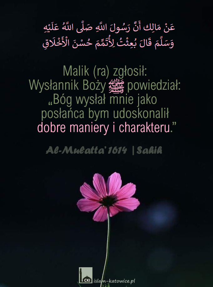 Bóg wysłał mnie jako posłańca bym udoskonalił dobre maniery i charakteru - Prorok Muhammad (pzn)