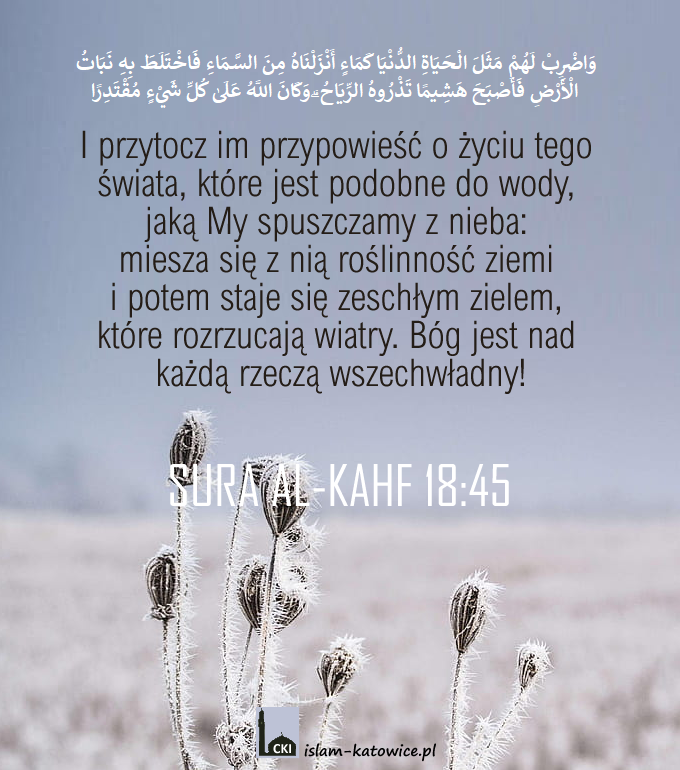 I przytocz im przypowieść o życiu tego świata, które jest podobne do wody.. (18:45)