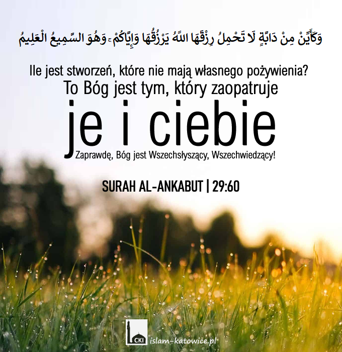 ..To Bóg jest tym, który zaopatruje je i ciebie.. (29:60)